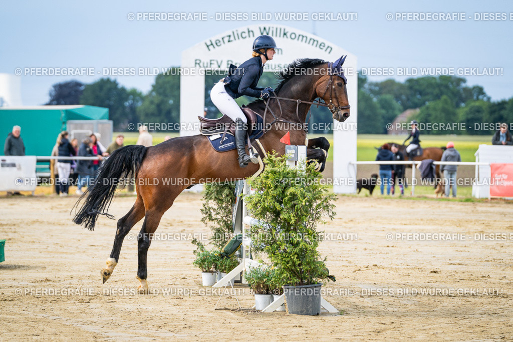 DSC03557 | Pferdegrafie