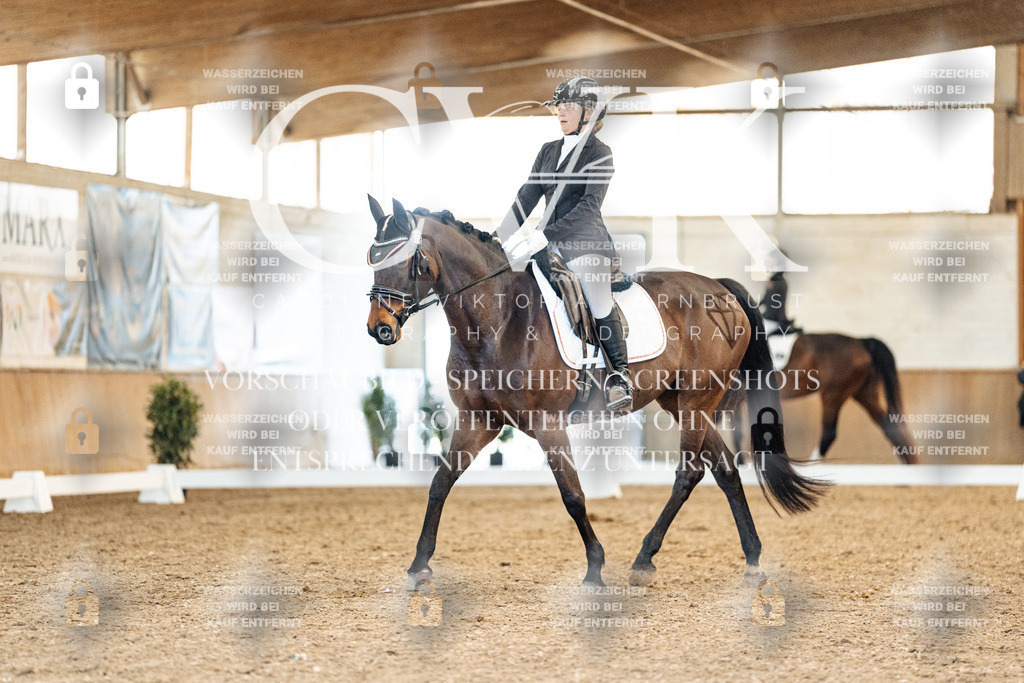 CK908372 | Turnierfotografie Pferdefotografie Trier Rheinland-Pfalz Pferdesport Reitsport Tierfotografie Sportfotografie Pferdevideo Pferdevideografie Equestrianvideography equestrianphotography  - Realisiert mit Pictrs.com