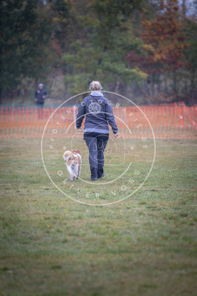 Pfotenfotografie_DV3A9184 | Hundefotografie, Tierfotograf, Pfotenfotografie, Fotoshooting Hund, Hunde Portrait, Hundesport, Hundeportraits, Heideshooting, Hunde, Sportfotograf, Hundefotograf, Turnierhundsport, THS,  - Realisiert mit Pictrs.com