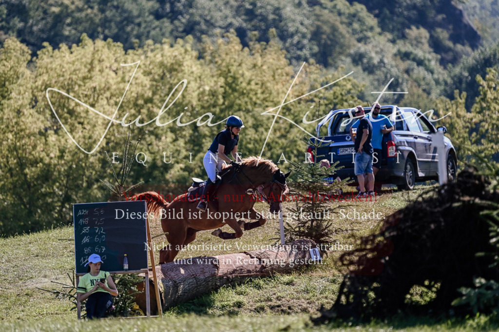 DSC_3046 | Pferde- und Turnierfotografie in Westsachsen. Pferdeportraits, Auftragszeichnungen und intuitive Kunst.