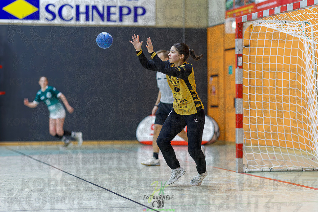 Frauen Regionalliga (HHV); HSG Kleenheim/Langgöns - HSG Baunatal | Frauen Regionalliga (HHV); HSG Kleenheim/Langgöns - HSG Baunatal am 23.11.2025 in Oberkleen (Weidig-Halle)Photo © 2025 - Jörg Heinrich - Realisiert mit Pictrs.com