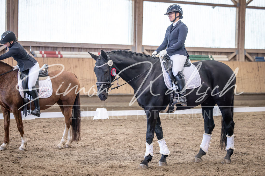 20251011-_3LI0694 | Tierfotografie Pferde, Hunde, Katzen, Haustiere.
Turnierfotografie Reitturniere, Reiten, Springreiten, Dressur in Hanau, dem Main-Kinzig-Kreis und dem Rhein-Main- Gebiet um Frankfurt