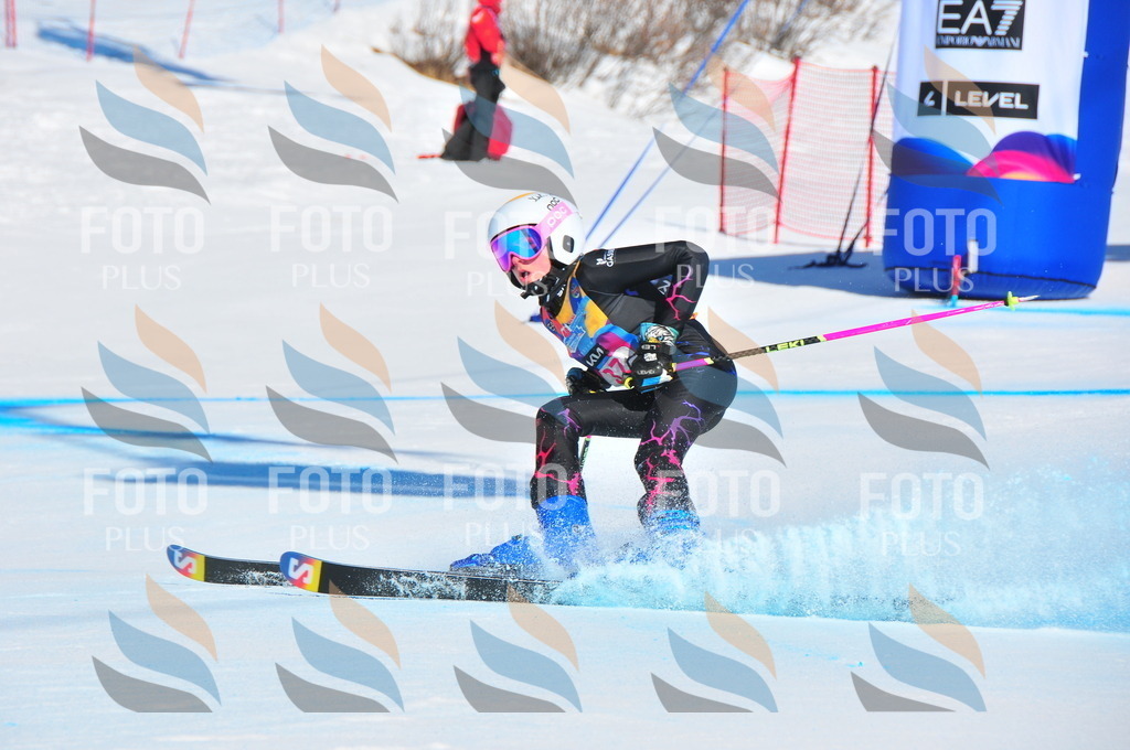 DSC_3982 | holidayphoto