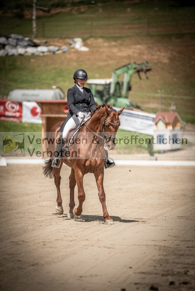 DSC_1550 | equestrian-live-com