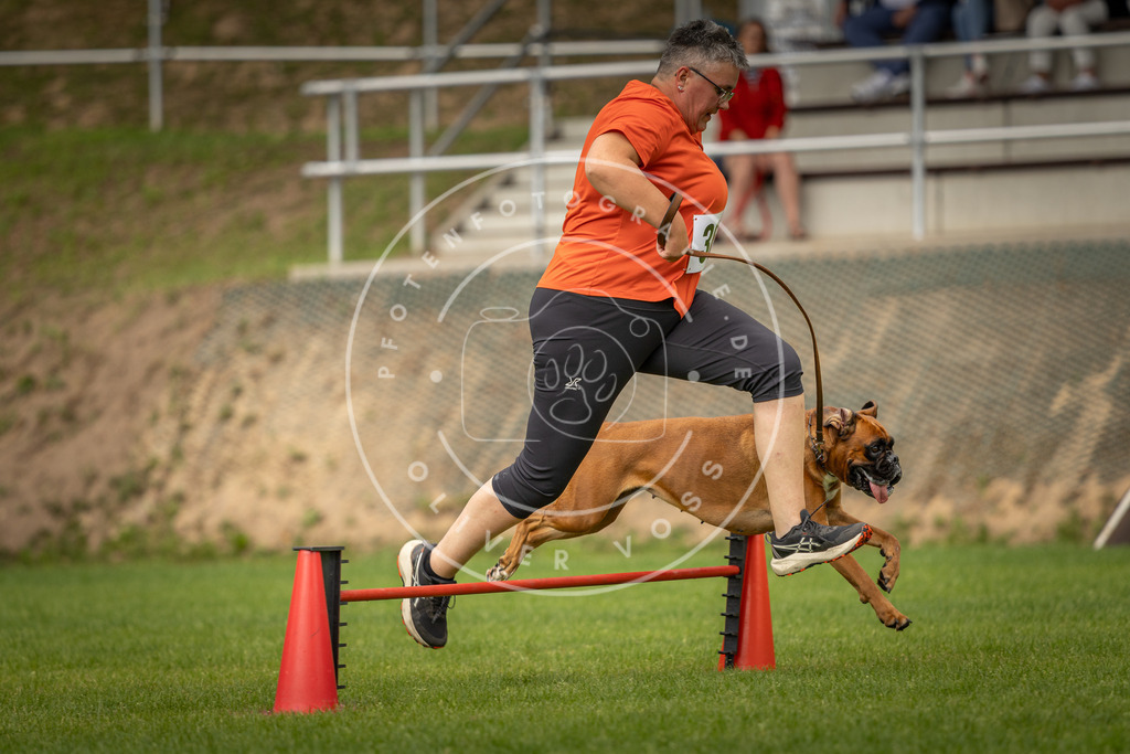 Pfotenfotografie_DV3A1879 | Hundefotografie, Tierfotograf, Pfotenfotografie, Fotoshooting Hund, Hunde Portrait, Hundesport, Hundeportraits, Heideshooting, Hunde, Sportfotograf, Hundefotograf, Turnierhundsport, THS,  - Realisiert mit Pictrs.com