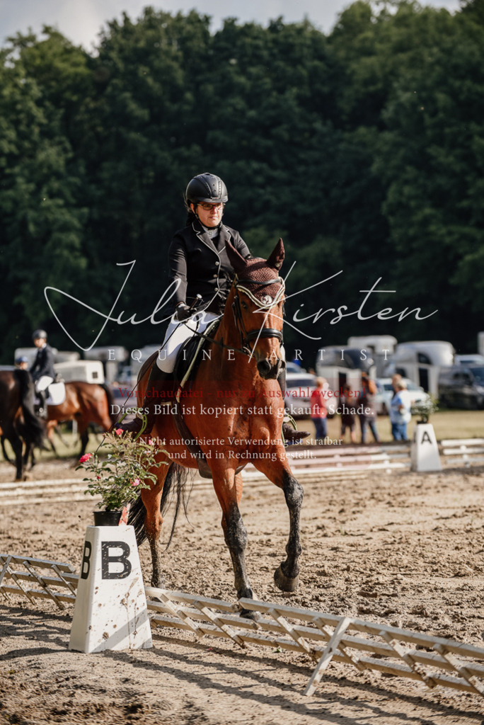 DSC_8528 | Pferde- und Turnierfotografie in Westsachsen. Pferdeportraits, Auftragszeichnungen und intuitive Kunst.