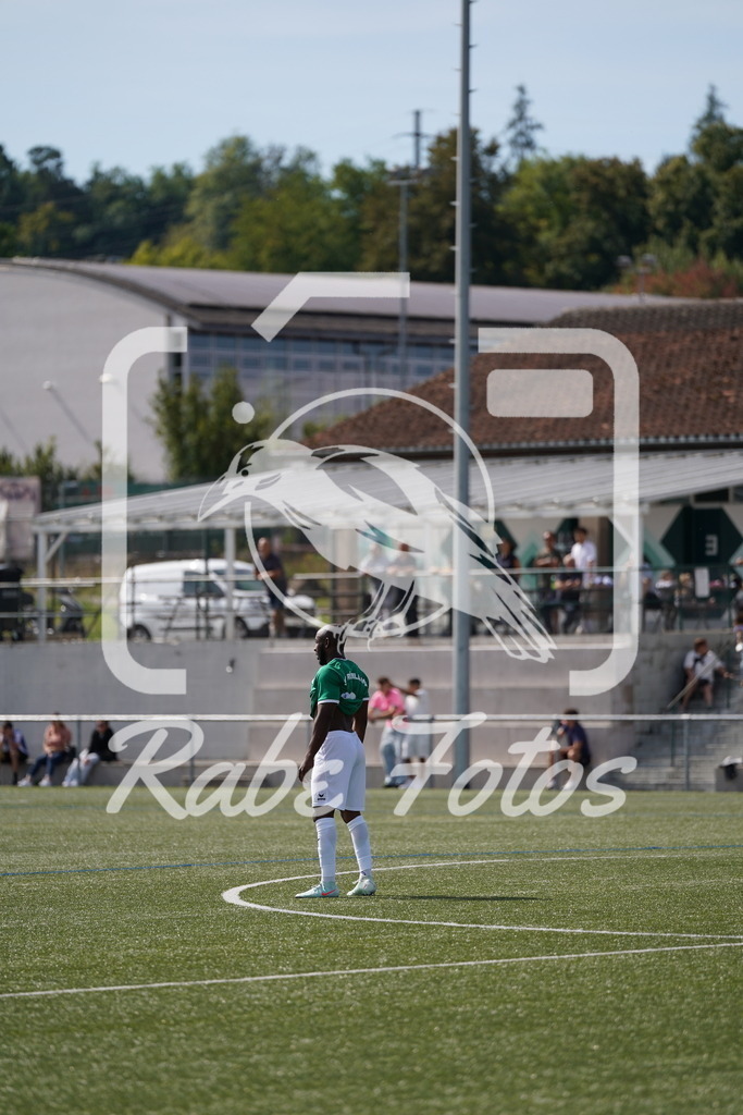 DSC08730 | rabefotos