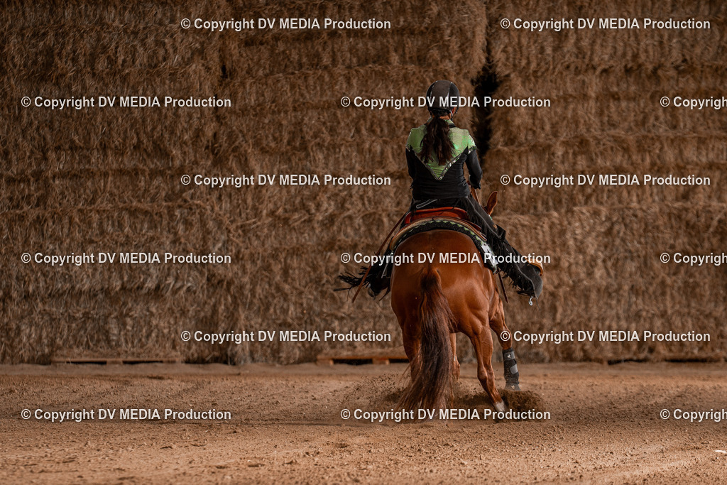 Balingen Tag 2-1131 | dv-media-shop - Realisiert mit Pictrs.com