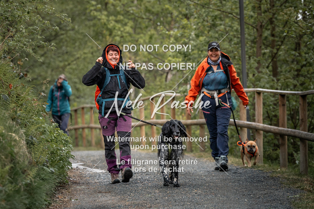 nelerasche_SaAbends_284 | nelerasche