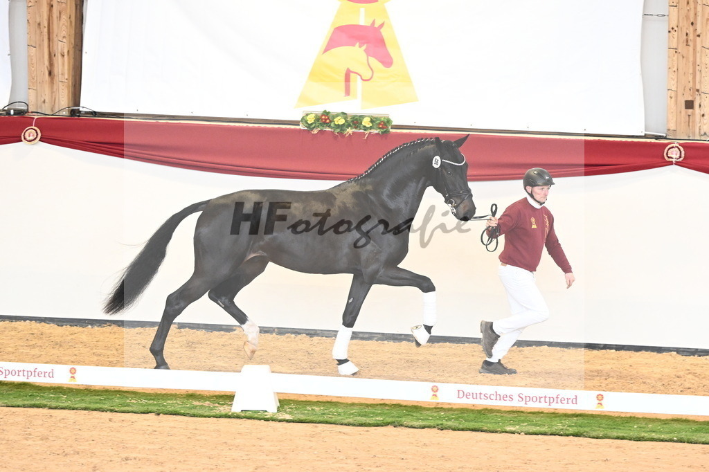 Kat.-Nr. 56 v. Jameson RS2_Fischer_2240718 | hf-fotografie - Realisiert mit Pictrs.com