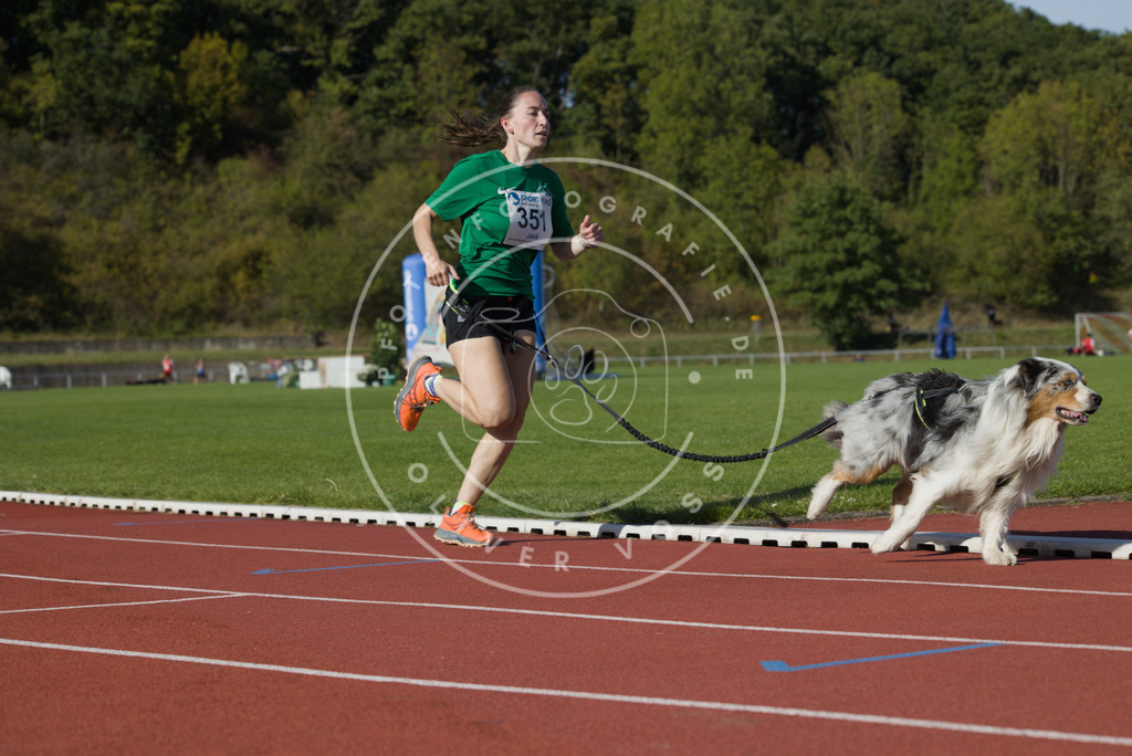 0L8A9719 | Hundefotografie, Tierfotograf, Pfotenfotografie, Fotoshooting Hund, Hunde Portrait, Hundesport, Hundeportraits, Heideshooting, Hunde, Sportfotograf, Hundefotograf, Turnierhundsport, THS,  - Realisiert mit Pictrs.com