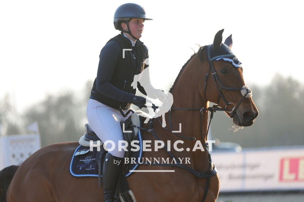 0P6A8708 | Willkommen bei Brunnmayr - Design & Fotografie – Ihrem Spezialisten für Reitturniere und Pferdeveranstaltungen in Oberösterreich, Salzburg und Bayern! Seit über 17 Jahren sind wir leidenschaftlich dabei.