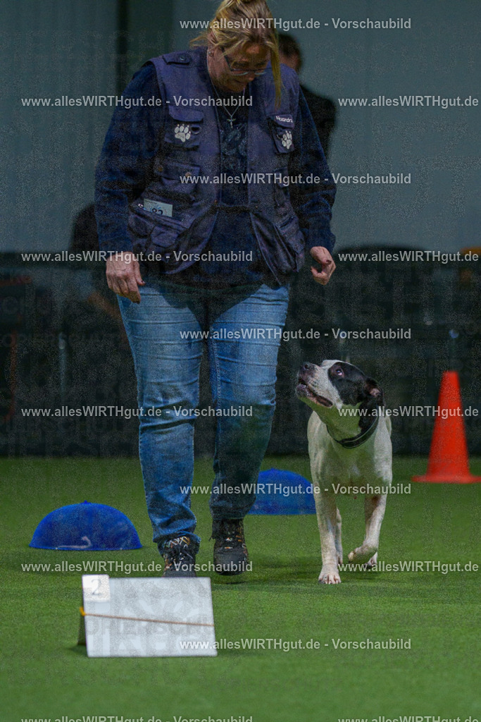 7R507759 | Professionelle Tierfotografie in Mönchengladbach von Daniel Wirth (allesWIRTHgut). Liebevolle & natürliche Bilder von Hunden & Katzen für unvergessliche Erinnerungen.