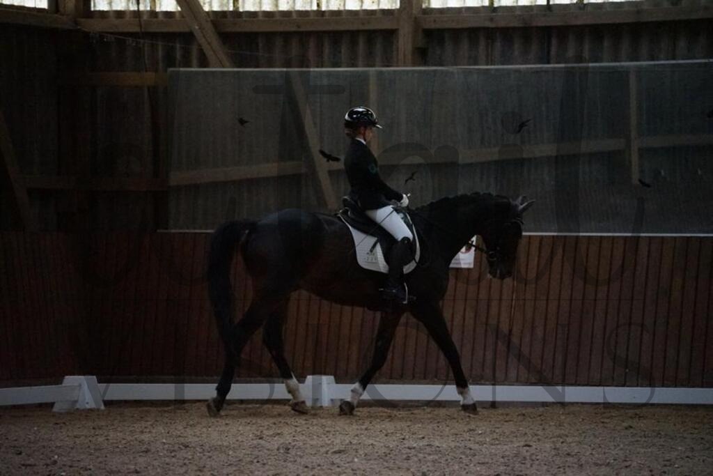 rsg berghof (400) | d.tail Visions - Shop - Realisiert mit Pictrs.com