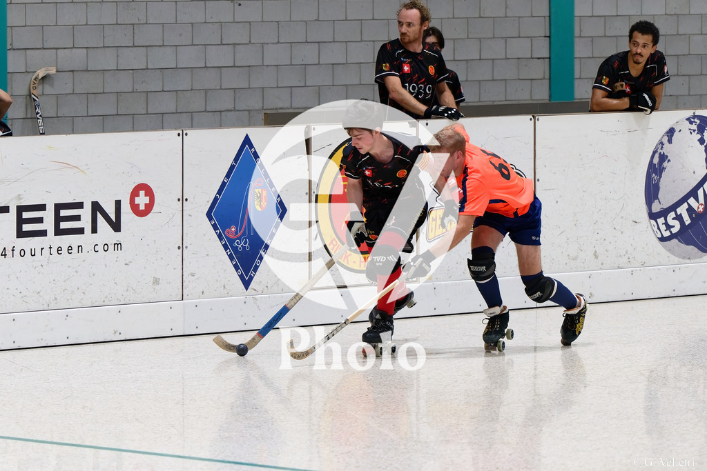 DSC_3590 | Velletri Photo