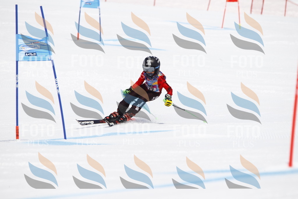 _U3G4650 | holidayphoto