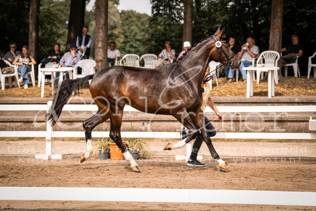 6.Fr00026 | Leoni Ertmer Photography - Realisiert mit Pictrs.com