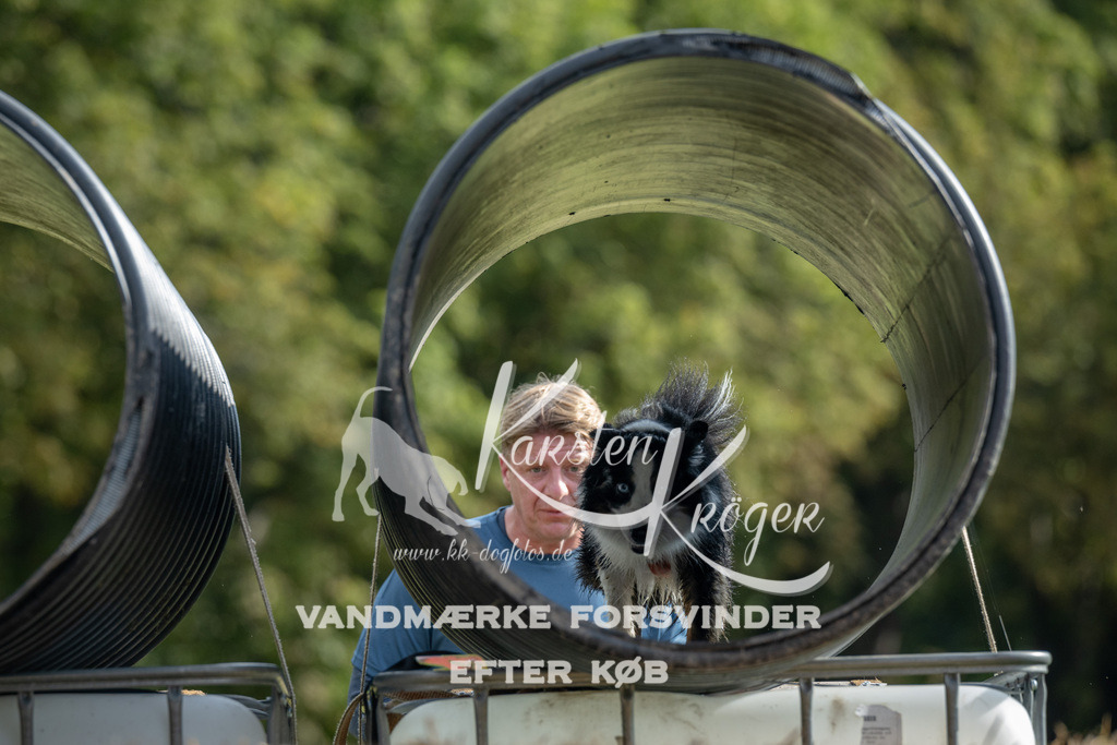 0942_ZZ90887 | kk-dogfotos