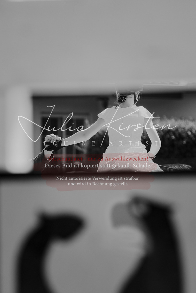 DSC_0173 | Pferde- und Turnierfotografie in Westsachsen. Pferdeportraits, Auftragszeichnungen und intuitive Kunst.