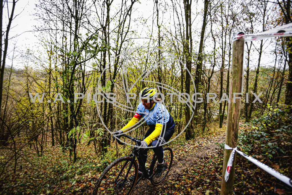 ..... | AUSTRIA, 24.11.24, 3.Radquerfeldein GP um das Sportzentrum Gunskirchen Image shows: Photo: Wapics / Andreas Willdoner