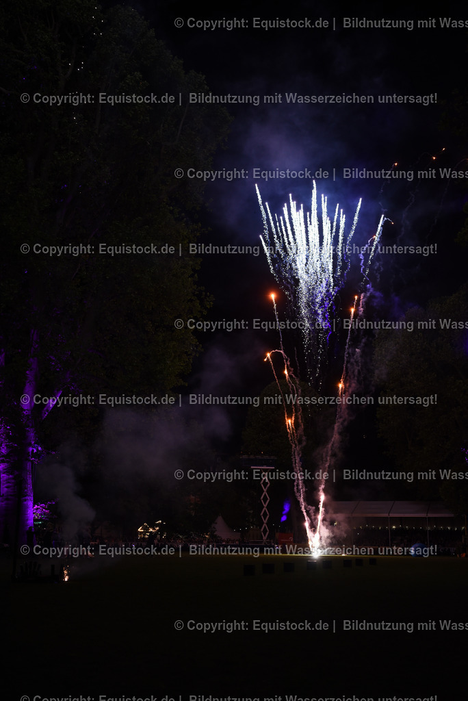 20230526_Pferdenacht_1592 | equistock