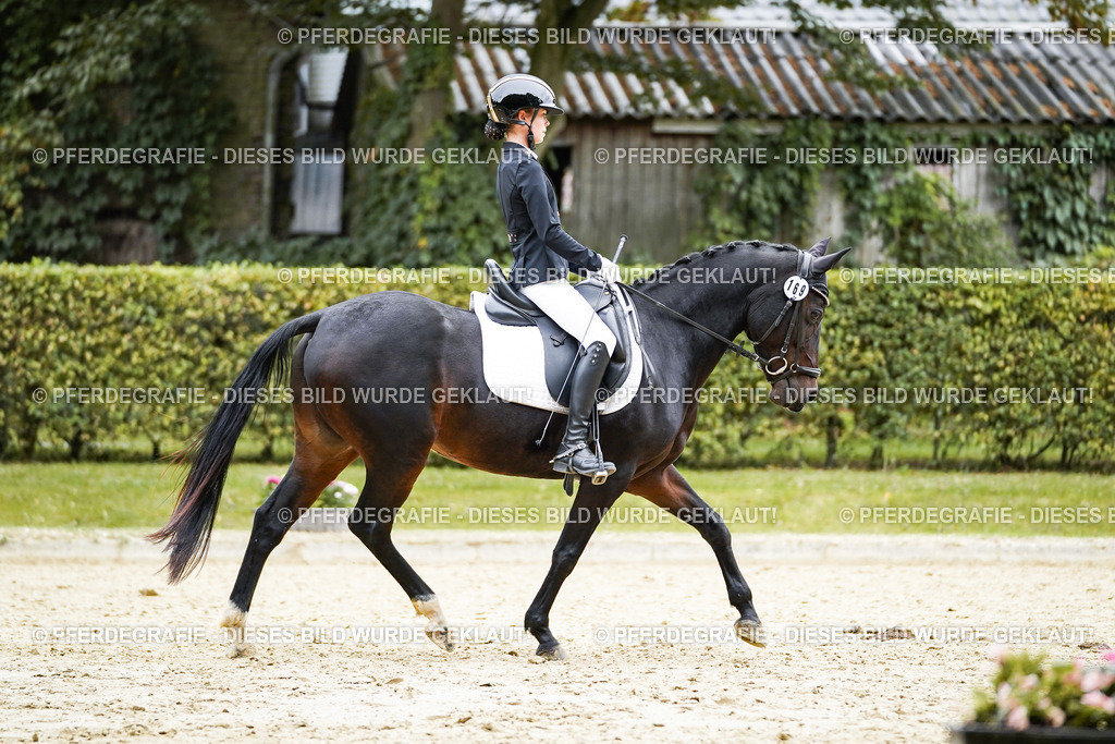 DSC09510 | Pferdegrafie