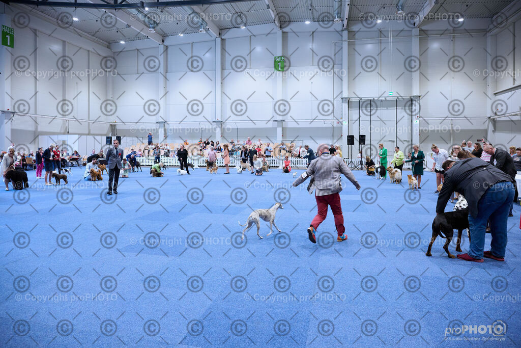 202406_ÖKV-IHA-Tulln24_NZ9_8765 | proPHOTO - Realisiert mit Pictrs.com