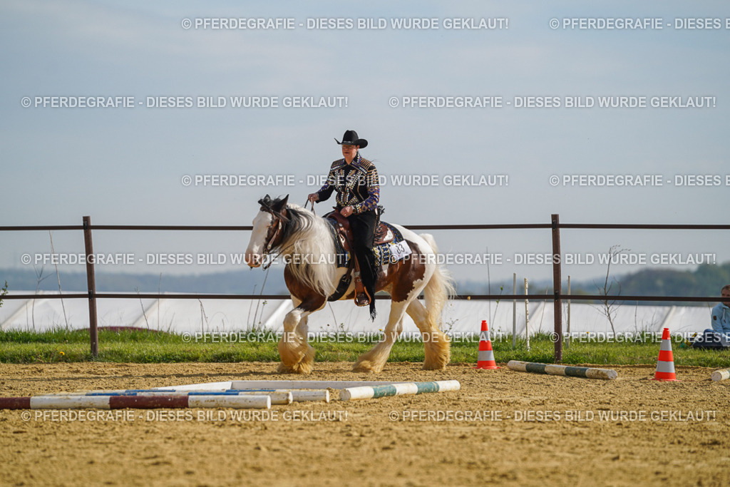 DSC01660 | Pferdegrafie