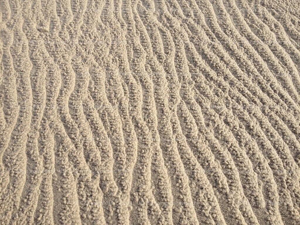 IMG_0012 | photograph1 - Realisiert mit Pictrs.com