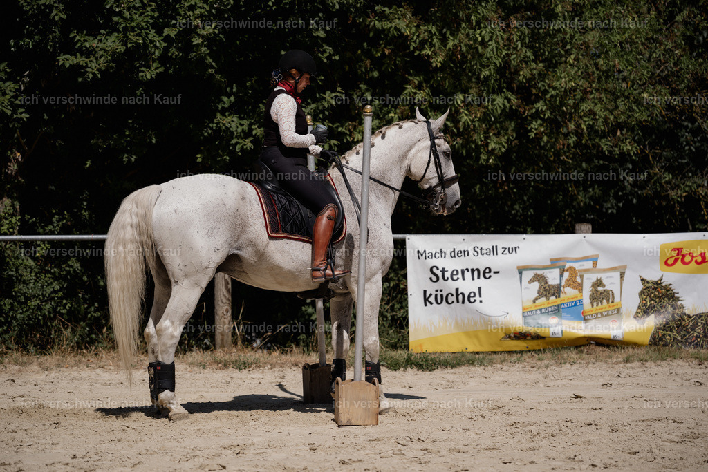 WS_ST_63_stoibphotography_SO10740 | working equitationturnier fotograf videograf stoibphotography marixx film working equitation deutschland reitsport turnierfotografie eventfotografie equestrian events