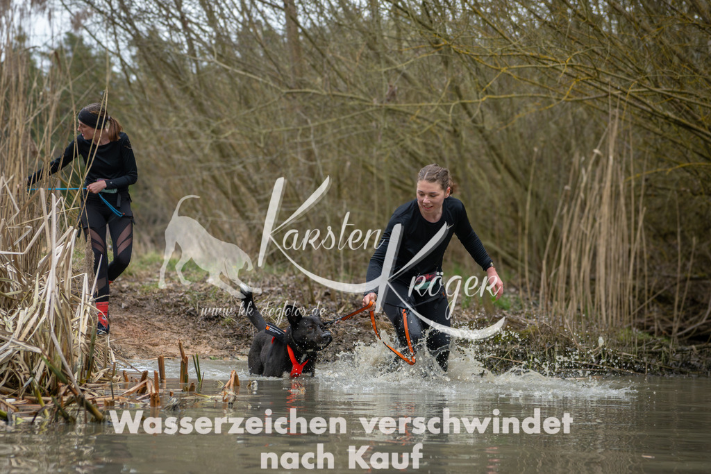 1346_ZZ92567 | kk-dogfotos