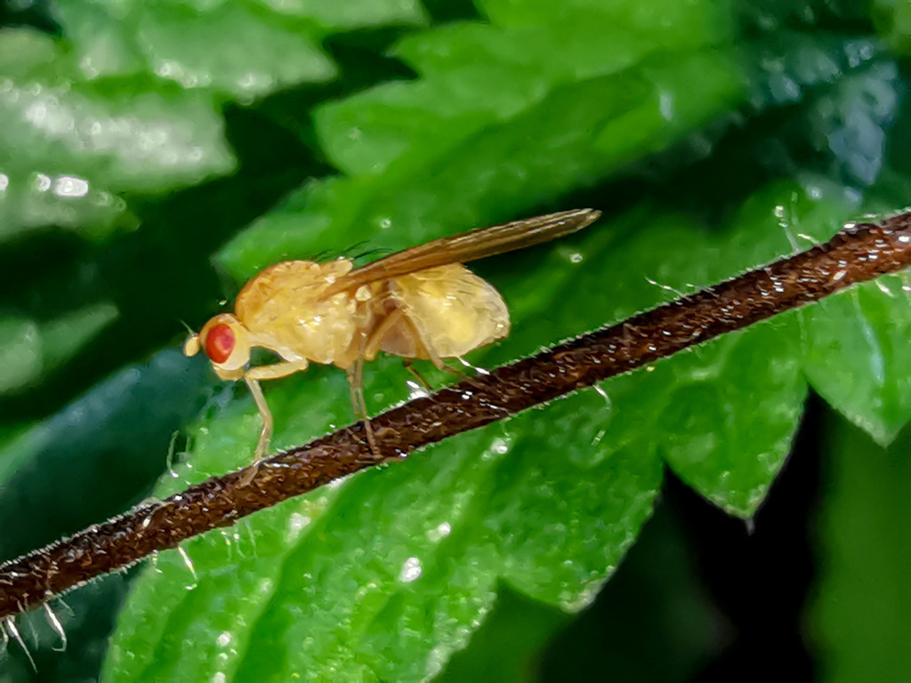 PSX_20230912_223721 | mtkfoto_ - Realisiert mit Pictrs.com