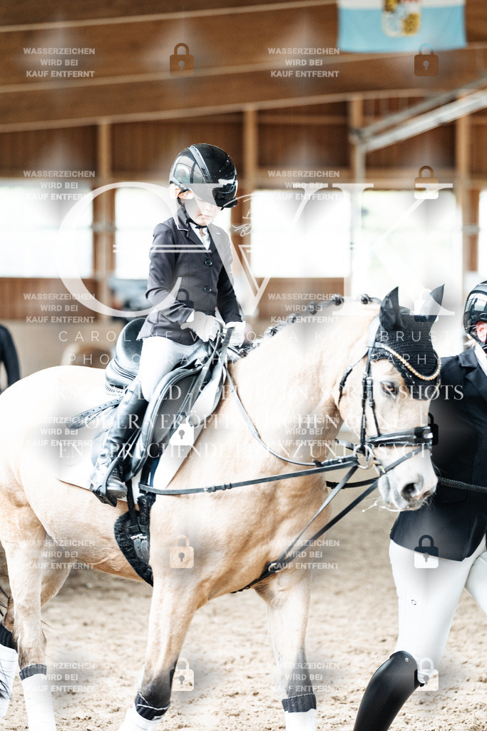 CK901873 | Turnierfotografie Pferdefotografie Trier Rheinland-Pfalz Pferdesport Reitsport Tierfotografie Sportfotografie Pferdevideo Pferdevideografie Equestrianvideography equestrianphotography  - Realized with Pictrs.com
