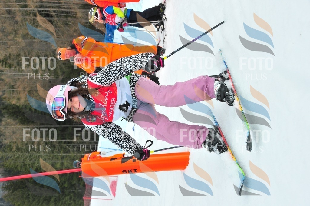 C1161 | holidayphoto