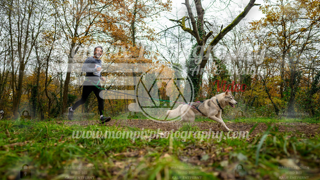 MompixPhotography_Bischwiller24_DI_CoursedeRelais-18 | PayLife