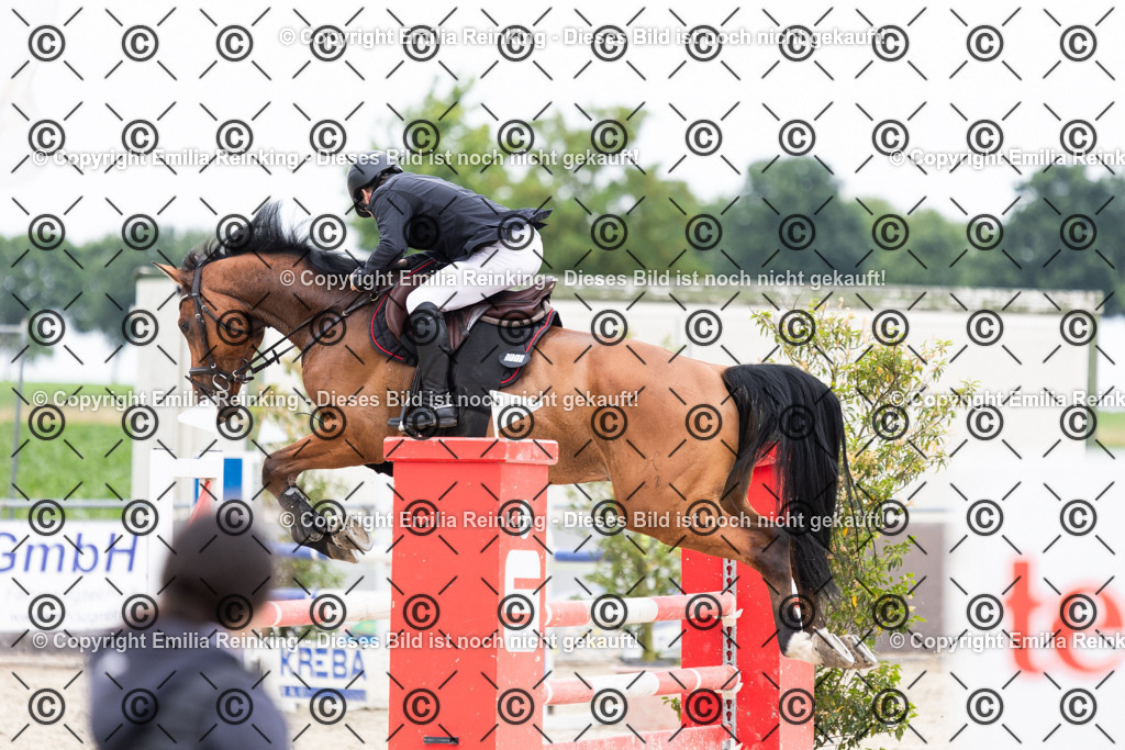 CL5A2165 | Emilia Reinking Fotografie - Realisiert mit Pictrs.com