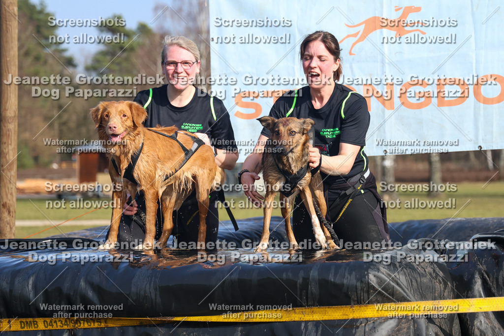 Dog Paparazzi - Strongdog North Mrz26-3305-2 | Dog Paparazzi Jeanette Grottendiek Fotografie & Videografie - Realisiert mit Pictrs.com