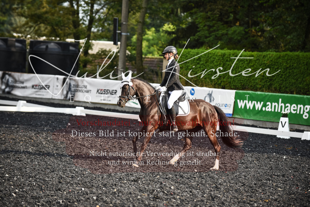 DSC_3391 | Pferde- und Turnierfotografie in Westsachsen. Pferdeportraits, Auftragszeichnungen und intuitive Kunst.
