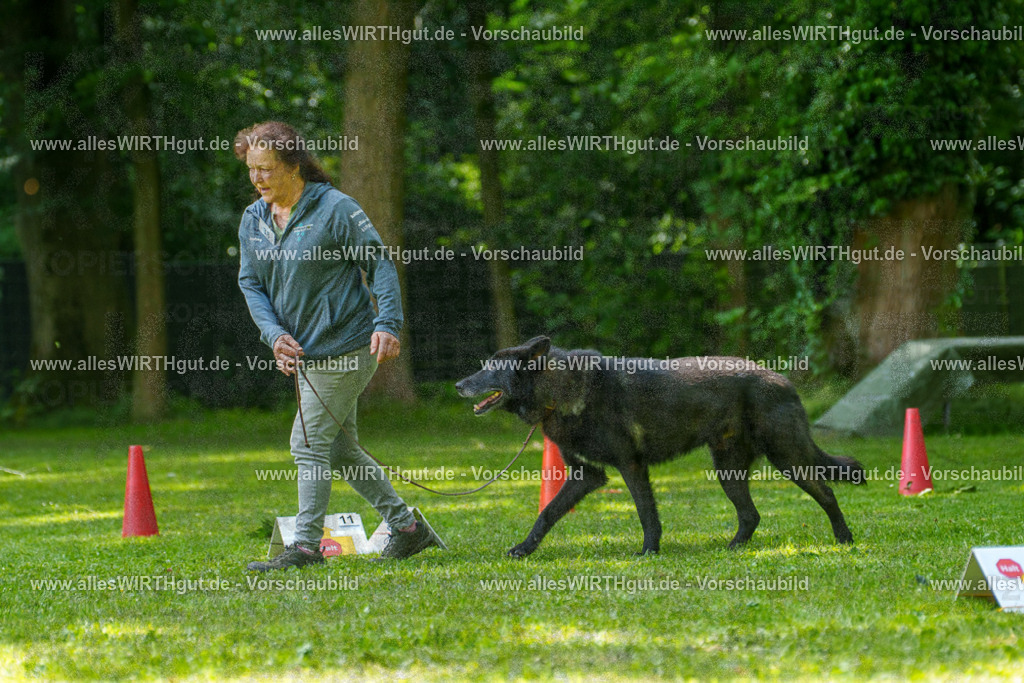 @allesWIRTHgut_Tierfotografie - www.allesWIRTHgut.de - 7R504715 | Professionelle Tierfotografie in Mönchengladbach von Daniel Wirth (allesWIRTHgut). Liebevolle & natürliche Bilder von Hunden & Katzen für unvergessliche Erinnerungen.