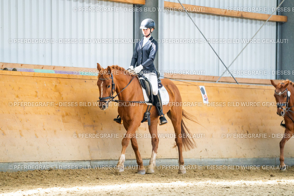 DSC03226 | Pferdegrafie