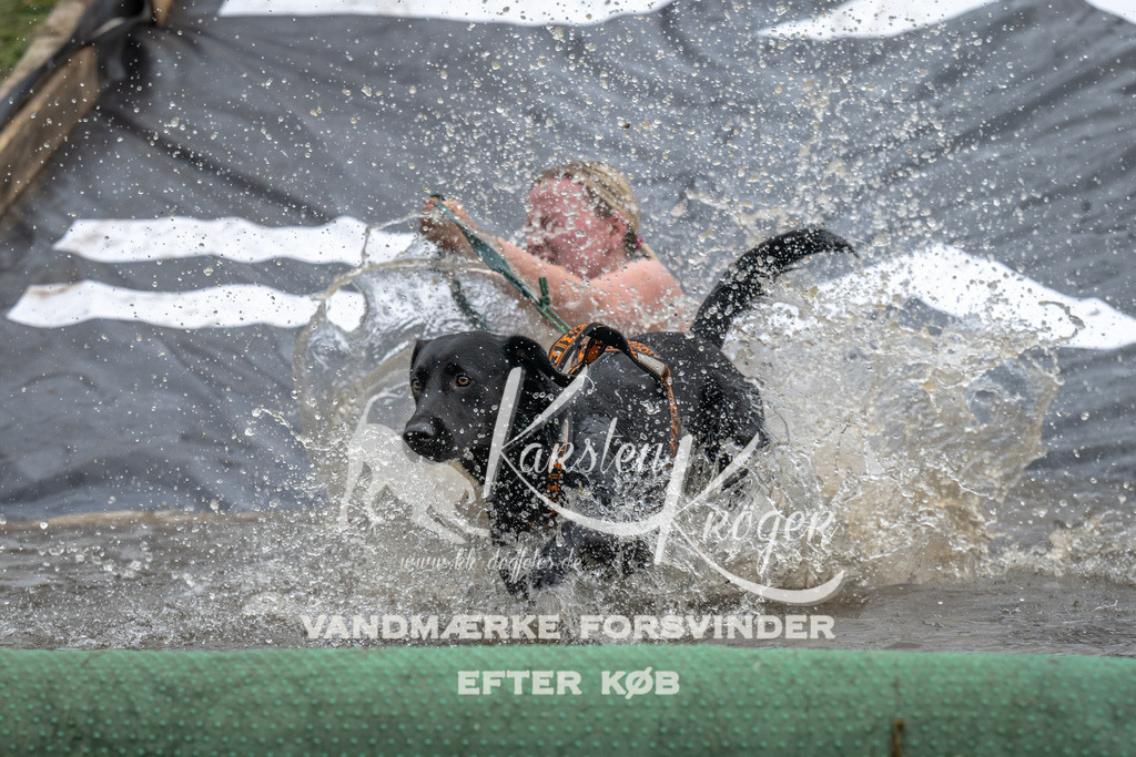 1521_ZZ92736 | kk-dogfotos