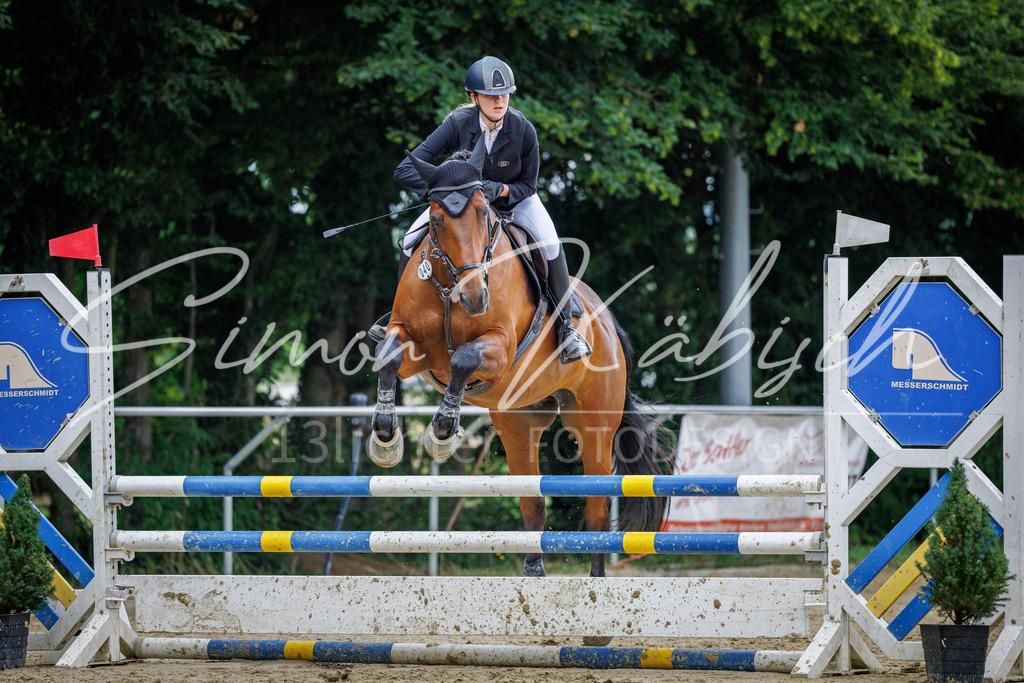 20260705-_3LI5231 | Tierfotografie Pferde, Hunde, Katzen, Haustiere.
Turnierfotografie Reitturniere, Reiten, Springreiten, Dressur in Hanau, dem Main-Kinzig-Kreis und dem Rhein-Main- Gebiet um Frankfurt
