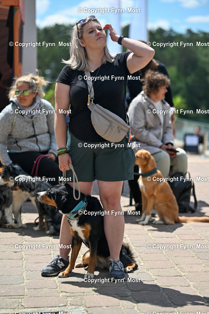 DSC_9843 | Hallo und herzlich Willkommen auf meiner Shop-Seite Fynn Most.

Ich wünsche Dir viel Spaß beim stöbern durch die Bilder, wenn Du Fragen hast oder Bilder vermisst, kannst du mir gerne eine Nachricht schreiben. - Realisiert mit Pictrs.com