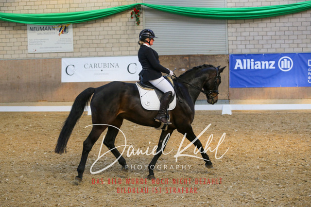 IMG_2635 | Turnierfotos kaufen im Webshop von Daniel Kuhl Photography – entdecke professionelle Reitsportfotos aus Turnieren & Events. Hochwertige Turnierbilder online bestellen & sichern. Jetzt Fotos von Reitsportturnieren kaufen!