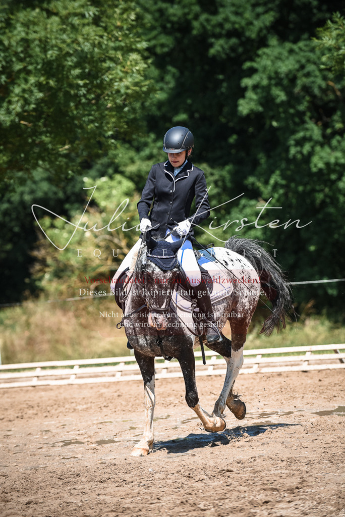 DSC_3234 | Pferde- und Turnierfotografie in Westsachsen. Pferdeportraits, Auftragszeichnungen und intuitive Kunst.