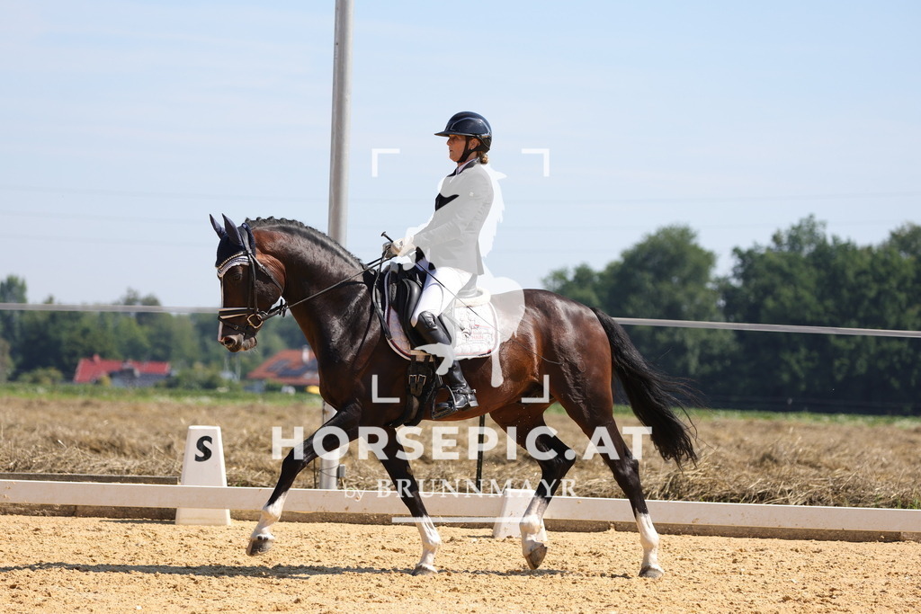 0P6A9628 | Willkommen bei Brunnmayr - Design & Fotografie – Ihrem Spezialisten für Reitturniere und Pferdeveranstaltungen in Oberösterreich, Salzburg und Bayern! Seit über 17 Jahren sind wir leidenschaftlich dabei.