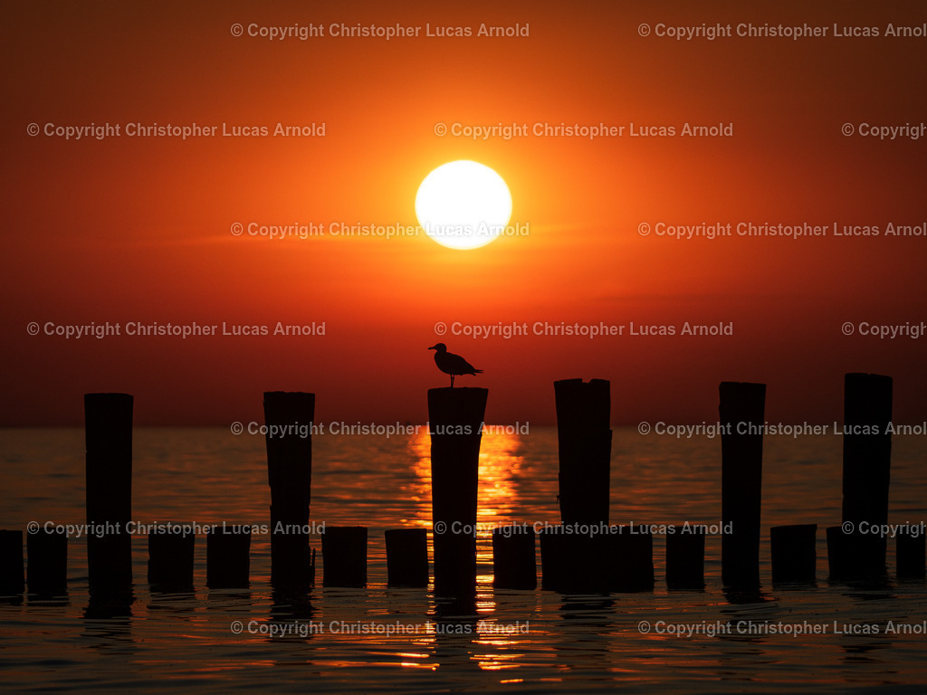 20190803-LRM_EXPORT_13911322120126_20190804_175153280 | bildkomponist - Realisiert mit Pictrs.com