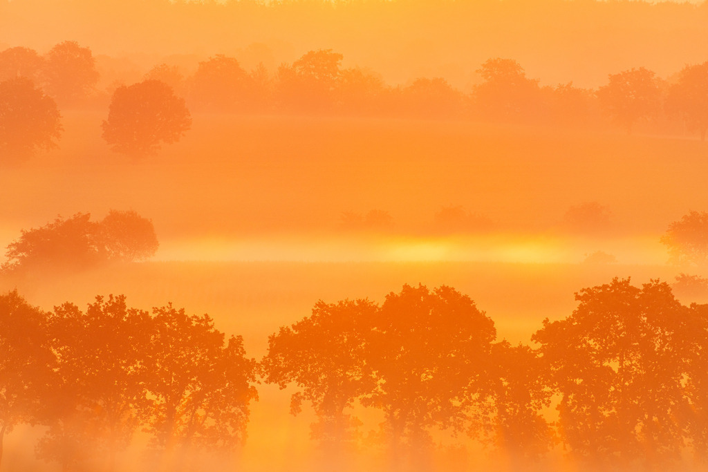 2023_09_07_NOK_SONNENAUFGANG_MCP4178 | Hochwertig gedruckte Fotografien für die Wand, als Kalender und zum Verschenken. Hamburg & Norddeutschland und überall wo ich mit der Kamera unterwegs war.