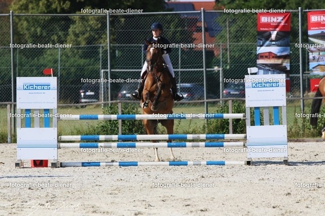 OHT 2022 Röhlingen (101) | Fotografie, Tiere, Hunde, Katzen, Pferde, Sportfotografie, Fotosession, Tierfotografie, Turnierfotografie, Fotografin, Fotograf - Realisiert mit Pictrs.com