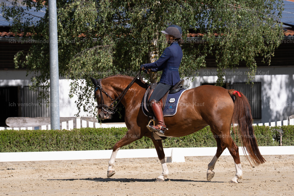 WL_DR_86_sinafilmart_IN06899 | working equitationturnier fotograf videograf stoibphotography marixx film working equitation deutschland reitsport turnierfotografie eventfotografie equestrian events